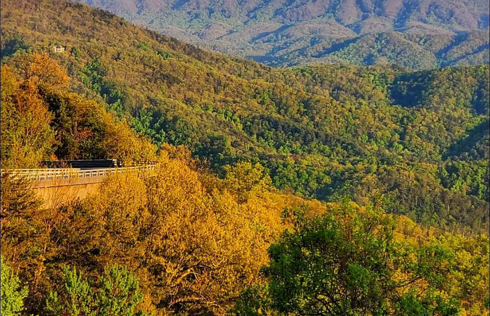 Fall In the Great Smoky Mountains National Park