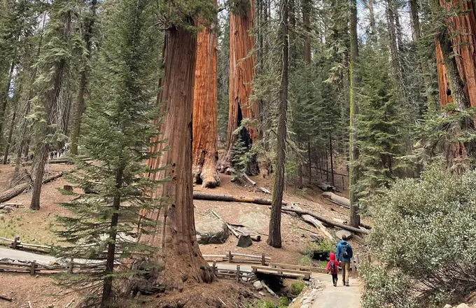 The Best Time Of The Year For Hiking in Sequoia National Park