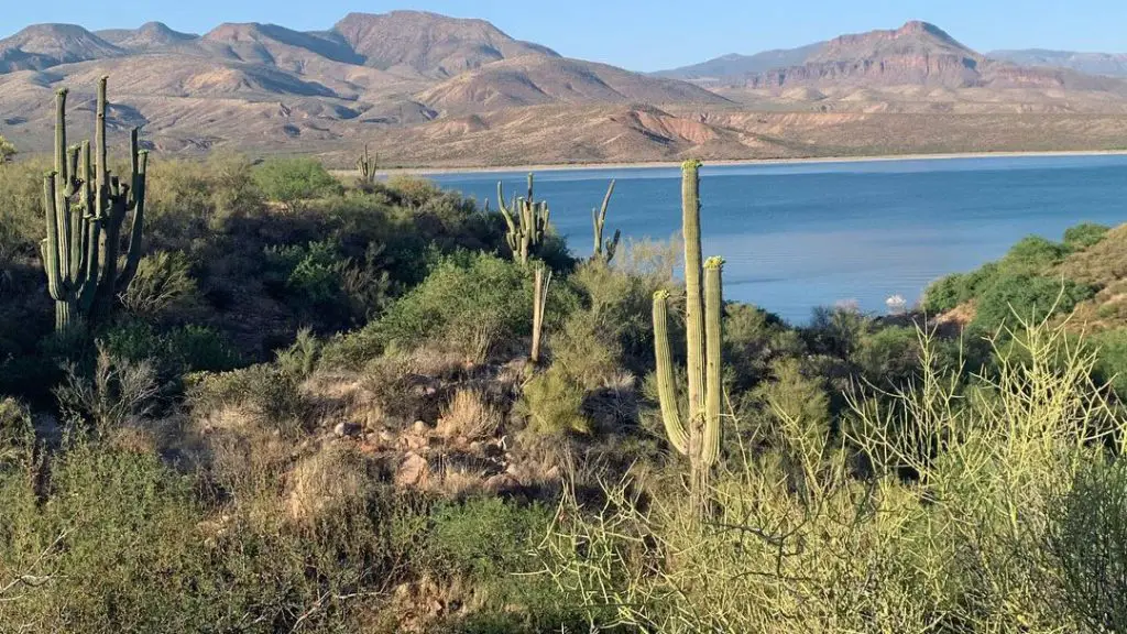 Tonto National Forest Dispersed Camping