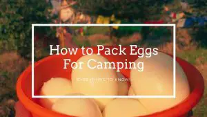 Eggs For Camping