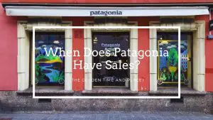 When Does Patagonia Have Sales